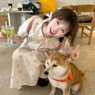 瓜田喜事 海报